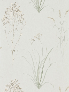 Обои Sanderson Embleton Bay Farne Grasses - Willow/Pebble 216488 (0,686*10,05)
