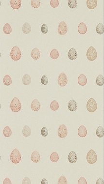 Обои Sanderson Embleton Bay Nest Egg - Blush Pink 216506 (0,52*10,05)