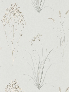 Обои Sanderson Embleton Bay Farne Grasses - silver/Ivory 216487 (0,686*10,05)