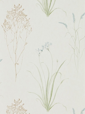 Обои Sanderson Embleton Bay Farne Grasses - Cream/Sage 216486 (0,686*10,05)