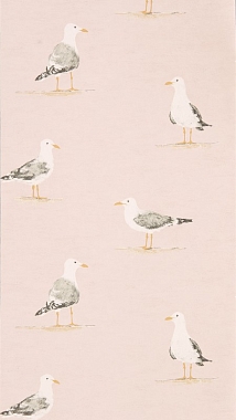 Обои Sanderson Port Isaac Shore Birds - Blush 216562 (0.52*10.05)