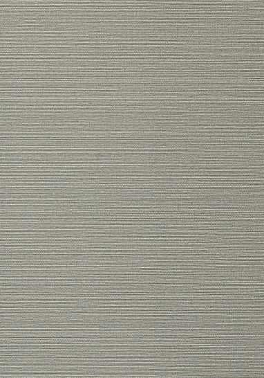 Обои виниловые на флизелине Thibaut Texture Resource VI арт. TWW75150