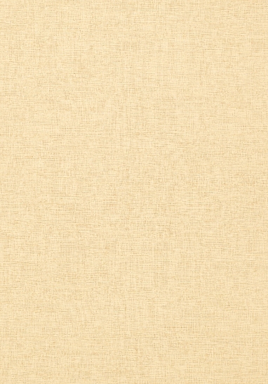 Обои виниловые на флизелине Thibaut Texture Resource IV арт. T14107