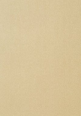 Обои виниловые на тканной основе Thibaut Texture Resource V арт. T57155