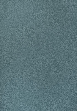 Ткань Thibaut Sierra Arcata W78390 (шир.137 см)