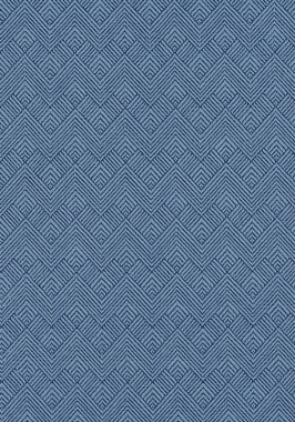 Ткань Thibaut Nomad Maddox W73337 (шир. 137 см)