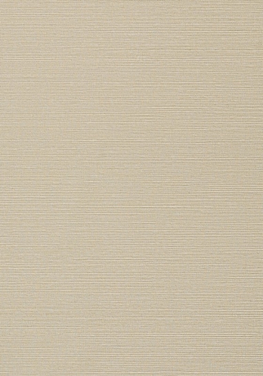 Обои виниловые на флизелине Thibaut Texture Resource VI арт. TWW75146