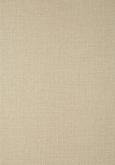 Обои виниловые на флизелине Thibaut Texture resource VII арт. TWW10943