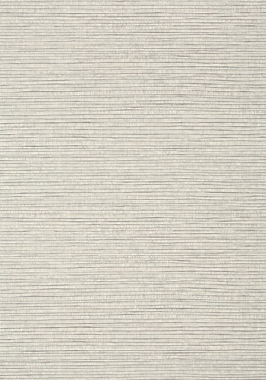 Обои виниловые на флизелине Thibaut Texture Resource VI арт. TWW349