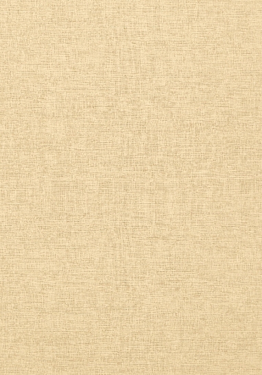 Обои виниловые на флизелине Thibaut Texture Resource IV арт. T14109