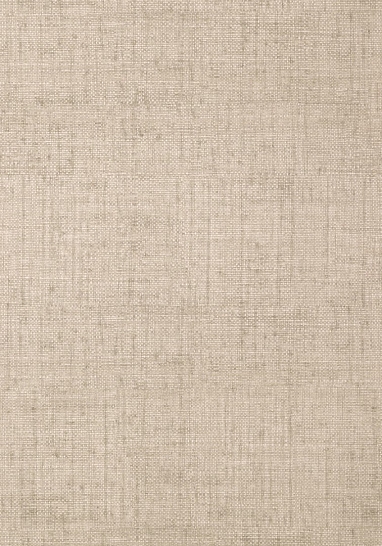 Обои Thibaut Texture Resource III T6815 III