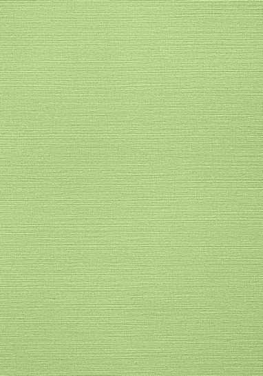 Обои виниловые на флизелине Thibaut Texture Resource VI арт. TWW287