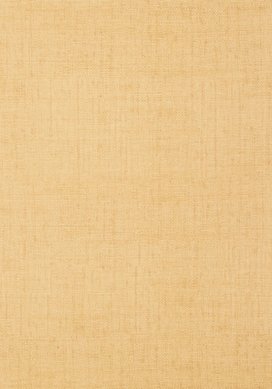 Обои Thibaut Texture Resource III T6813 III