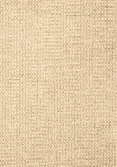 Обои виниловые на флизелине Thibaut Texture Resource IV арт. T14166