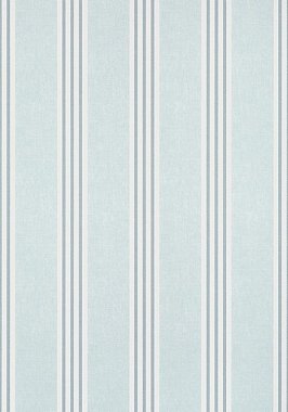Обои Thibaut Pavilion Canvas Stripe T13359 (0,68*8,23)