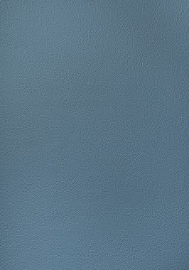 Ткань Thibaut Sierra Arcata W78391 (шир.137 см)