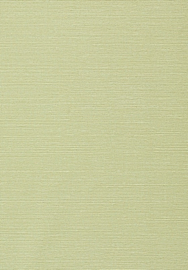 Обои виниловые на флизелине Thibaut Texture Resource VI арт. TWW75153