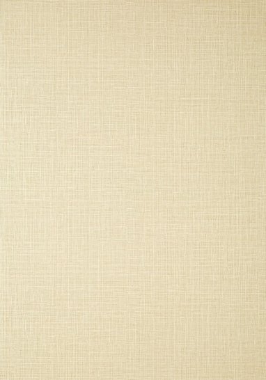 Обои виниловые на флизелине Thibaut Texture resource VII арт. TWW10951