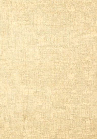 Обои Thibaut Texture Resource III T6809 III