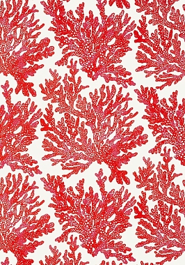 Обои Thibaut Tropics Marine Coral T10120 (0,69*8,22)